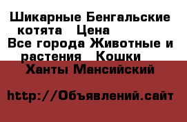 Шикарные Бенгальские котята › Цена ­ 25 000 - Все города Животные и растения » Кошки   . Ханты-Мансийский